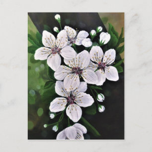 White Cherry Flowers Art In Acrylic Postcard