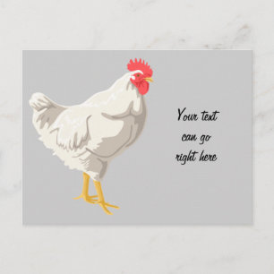 White Chicken Postcard