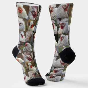 White Chickens Photo Collage, Socks
