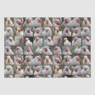 White Chickens Photo Collage, Tissue Paper