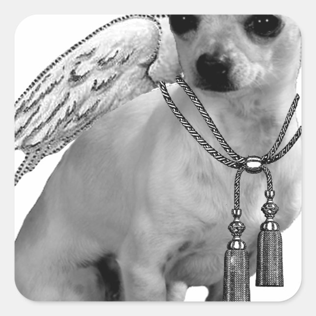 White Chihuahua Angel Wings Square Sticker (Front)