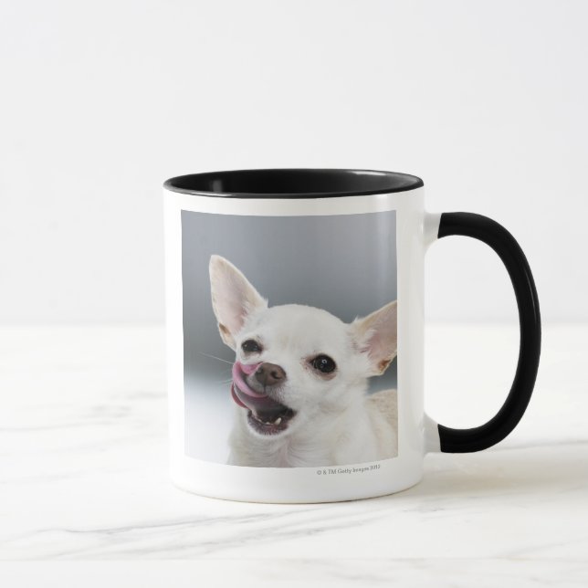 White Chihuahua licking lips Mug (Right)