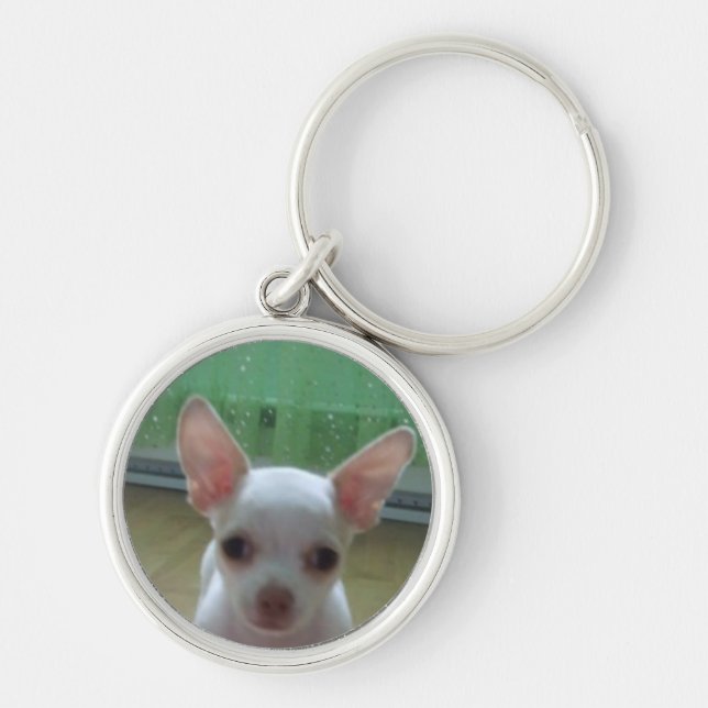 White Chihuahua Pup Keychain (Front)