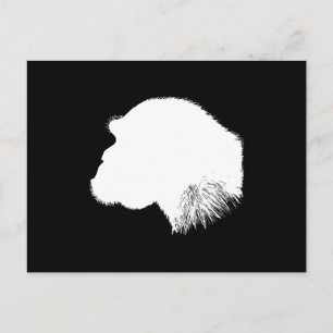 White Chimpanzee Profile Postcard
