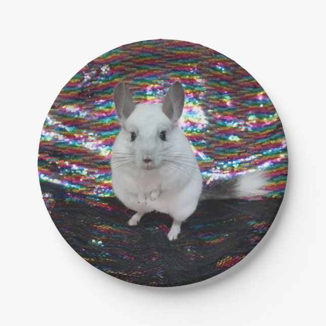White Chinchilla superstar Paper Plate (Front)