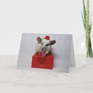 White chinchilla with hat and heart card