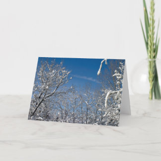 White Christmas Holiday Card