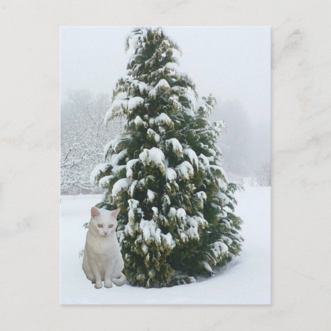 White Christmas Holiday Postcard (Front)