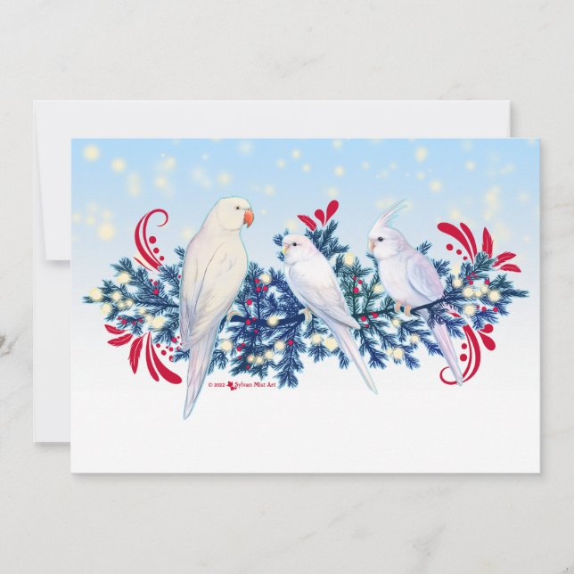 White Christmas Parrots Holiday Card (Front)