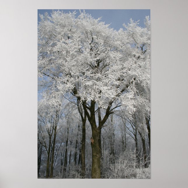 White Christmas Poster (Front)