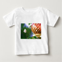White Christmas Rose