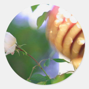 White Christmas Rose Classic Round Sticker