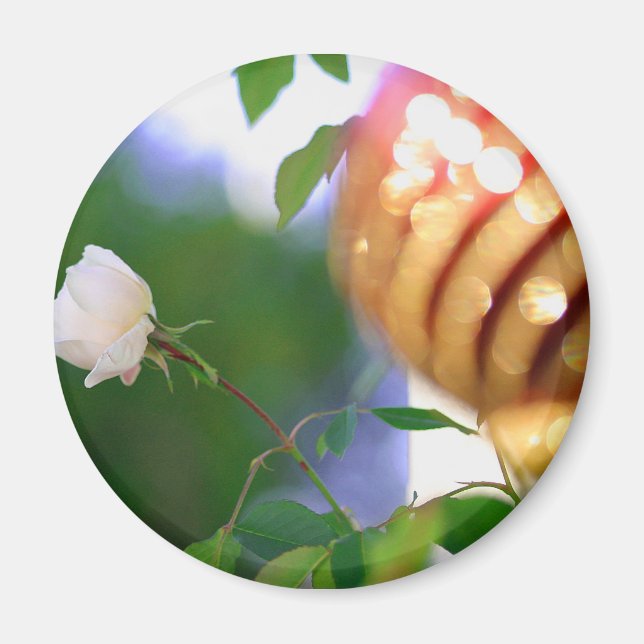 White Christmas Rose Magnet (Front)