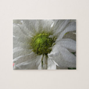 White Chrysanthemum Puzzle