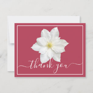 White Clematis Flower Crimson Background Thank You Postcard