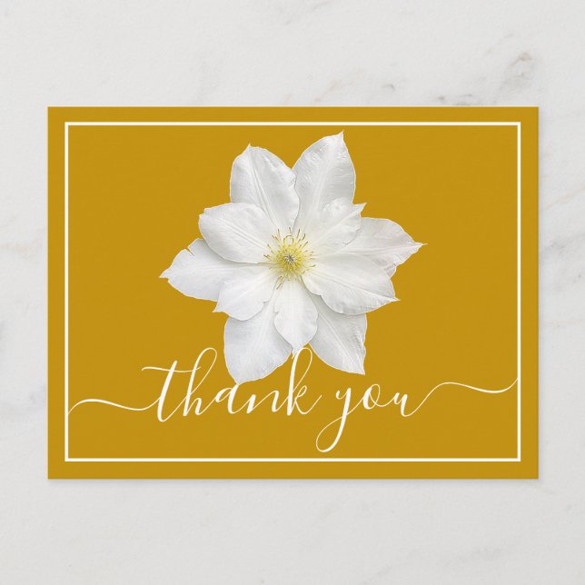 White Clematis Flower Mustard Background Thank You Postcard (Front)