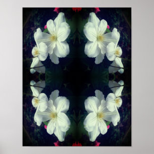 White Clematis Flower Pair Abstract Poster