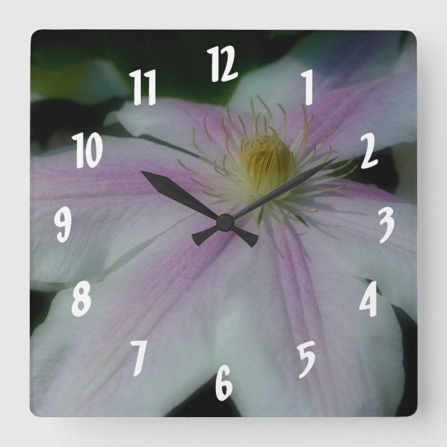 White Clematis Flower Petals Square Wall Clock (Front)
