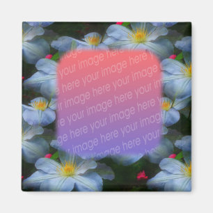 White Clematis Flower Your Photo Magnet