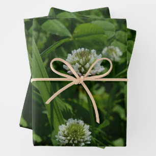 White Clover in a Green Meadow Wrapping Paper Sheet