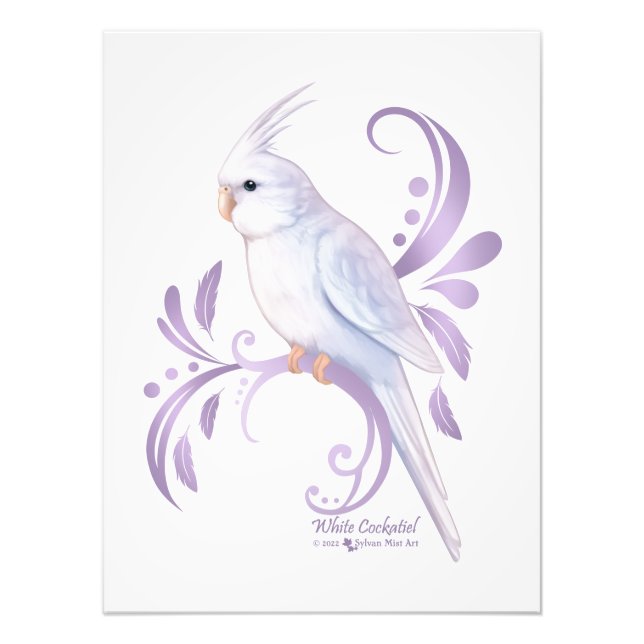 White Cockatiel Photo Print (Front)