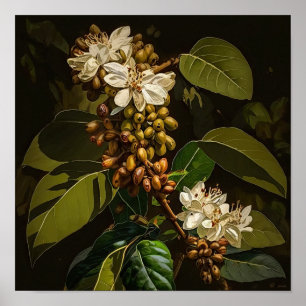 White Coffee Flowers Art Print Poster