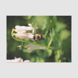 White Columbine Flower And Bumble Bee Decoupage Tissue Paper