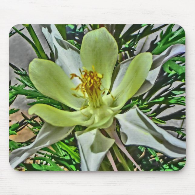 White columbine flower mousepad (Front)