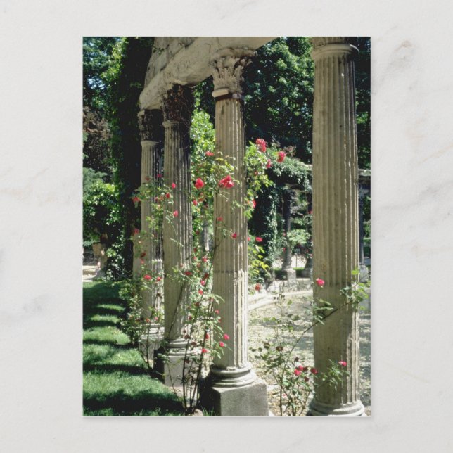 White Columns and roses - Parc Monceau, France flo Postcard (Front)