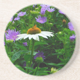 White Cone flower, purple flowers and moth Coaster