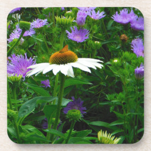 White Cone flower, purple flowers and moth Coaster