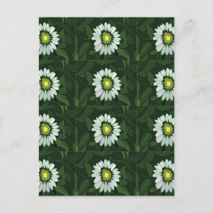 White Coneflower Floral Pattern Postcard