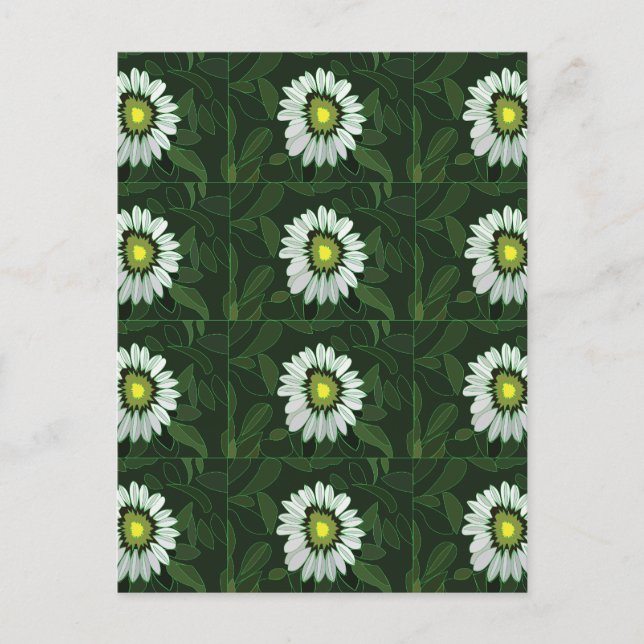 White Coneflower Floral Pattern Postcard (Front)