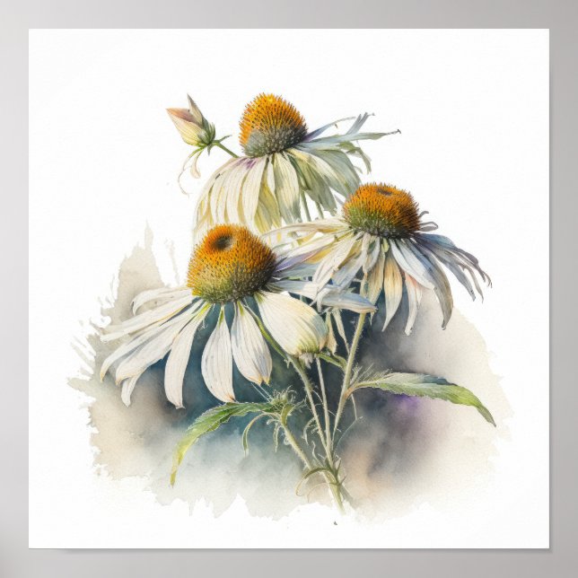 White Coneflowers Art Print Poster (Front)