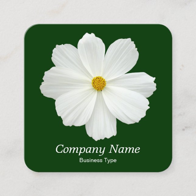 White Cosmos - Dark Green Square Business Card (Front)