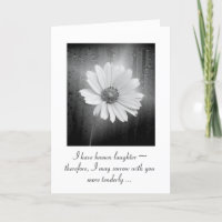 White Cosmos Flower With Rain