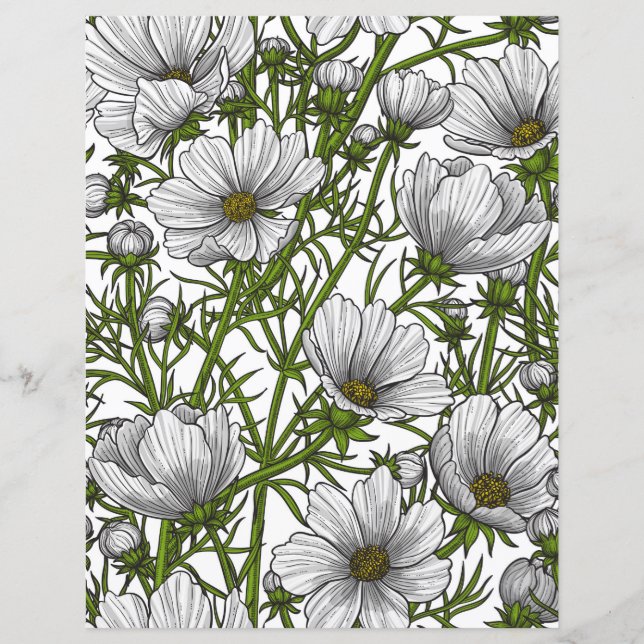 White cosmos flowers (Front)