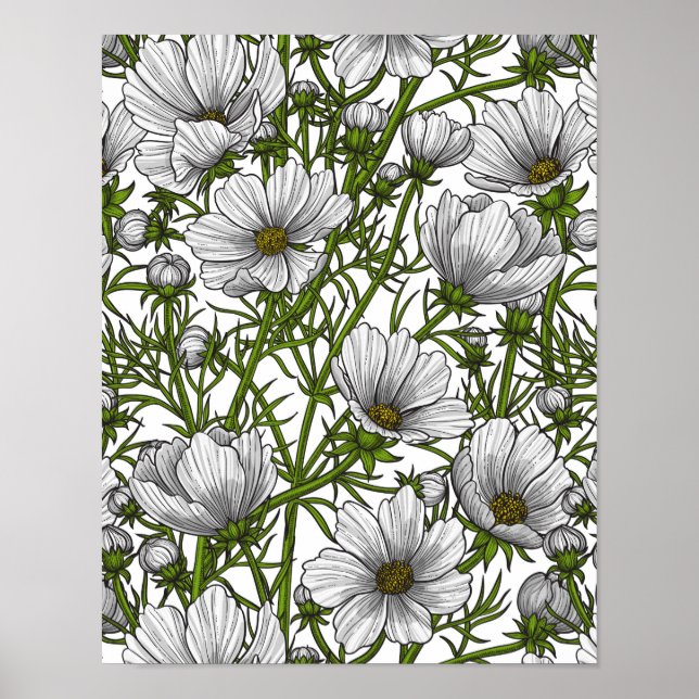White cosmos flowers poster (Front)