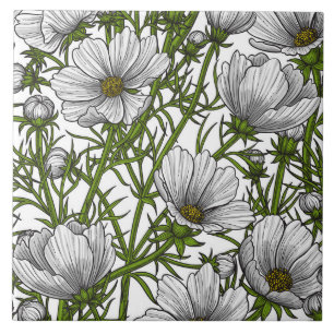White cosmos flowers tile