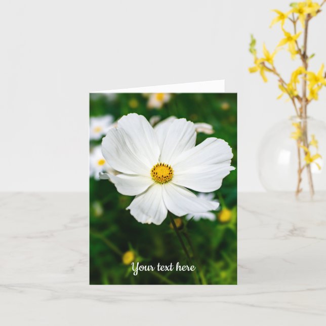 White Cosmos Greeting Card (Yellow Flower)