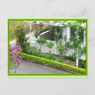 White Cottage in Botanic Gardens, New Zealand Postcard