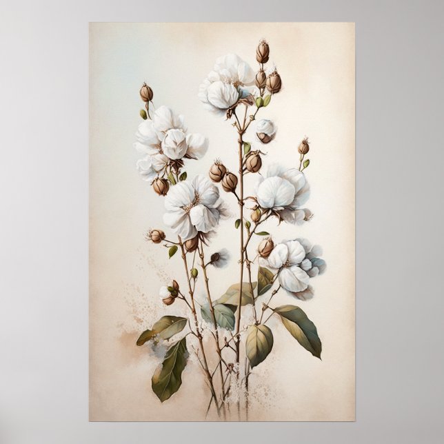 White Cotton Flowers Art Print Poster (Front)