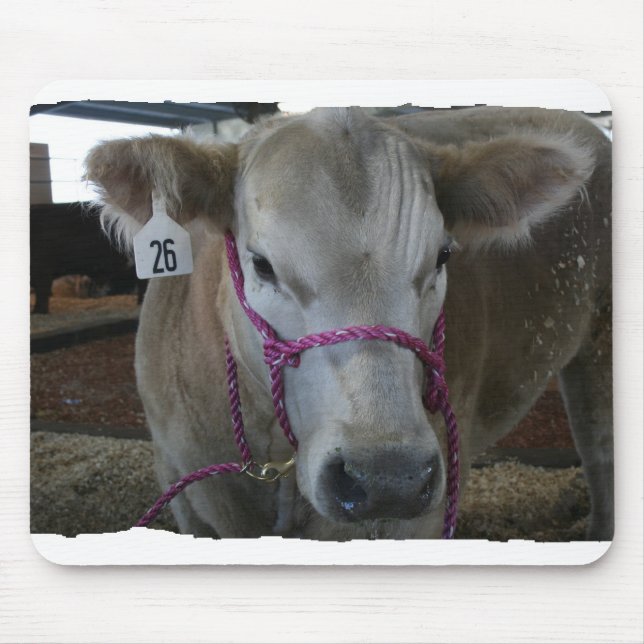 White Cow Head Shot at County Fair Mouse Pad (Front)