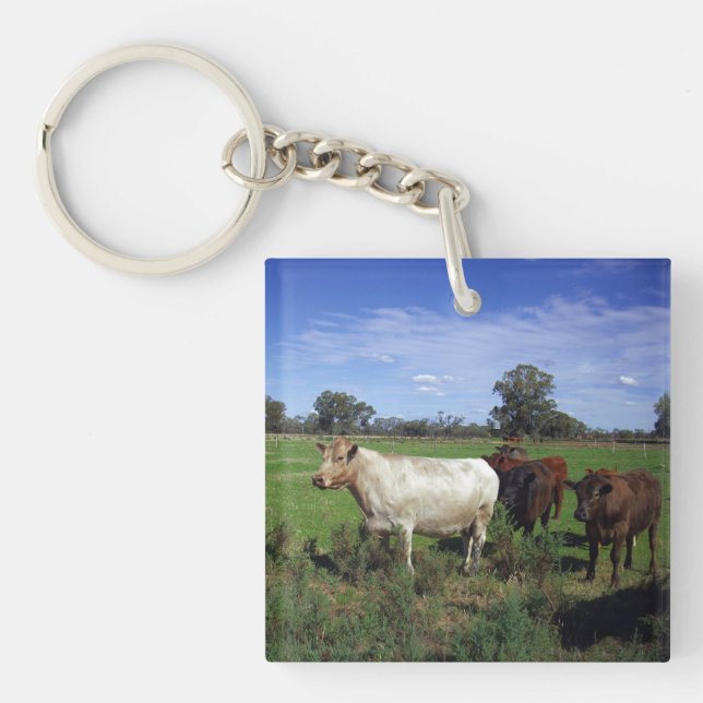 White Cow Leading The Herd, Key Ring (Front)