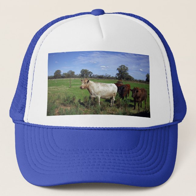 White Cow Leading The Herd, Trucker Hat (Front)