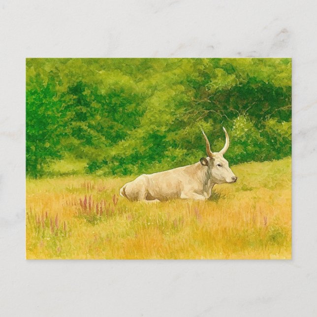 White Cow Watercolor Postcard (Front)