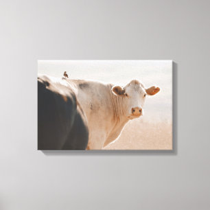 White Cow With Little Bird On Back Canvas Print