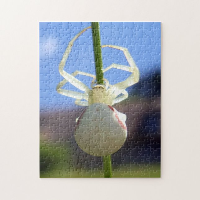 White Crab Spider Photo Puzzle with Gift Box (Vertical)