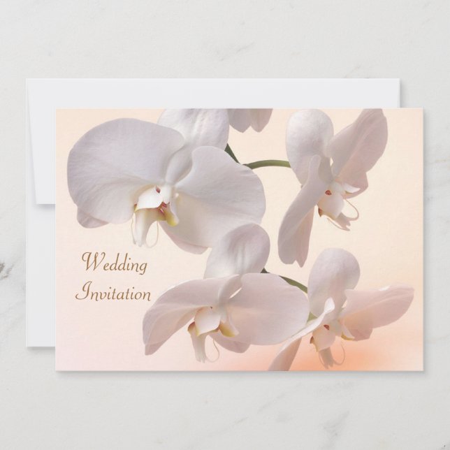 White - cream orchids Wedding Invitation (Front)