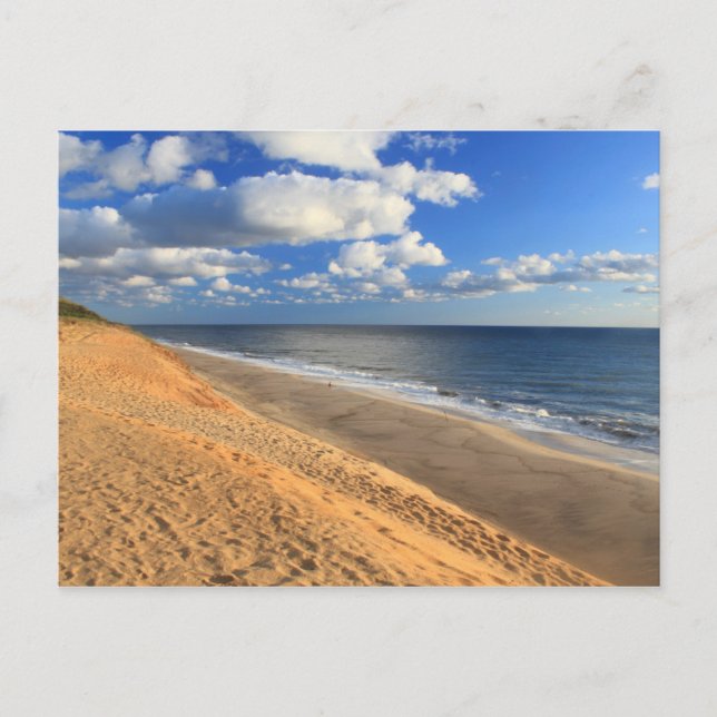 White Crest Beach Cape Cod Ocean Beach Overview Postcard (Front)